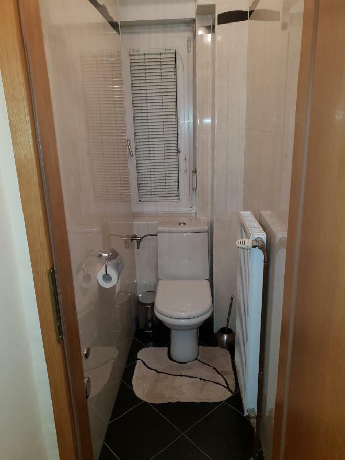 Apartment Milena Maribor Zewnętrze zdjęcie